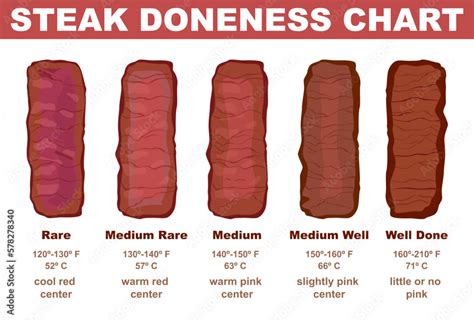 Steak doneness chart. Different stages of beef steak roast. Delicious restaurant Stock Vector ...