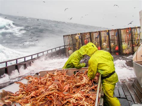 Bering Sea snow crab officially designated as “overfished” — but “not subject to overfishing ...