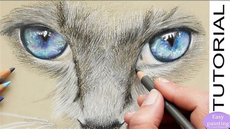 How to draw realistic CAT EYES with Polychromos. Step by step SPEED ...