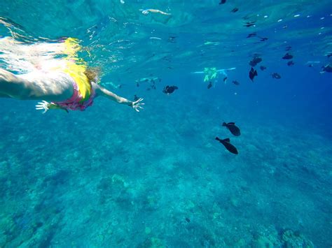 What It's Like to Snorkel Around Molokini Crater - La Jolla Mom