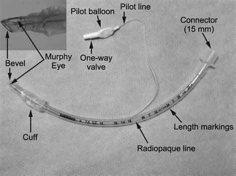 Endotracheal Tubes: Old and NewDiscussion | Respiratory Care