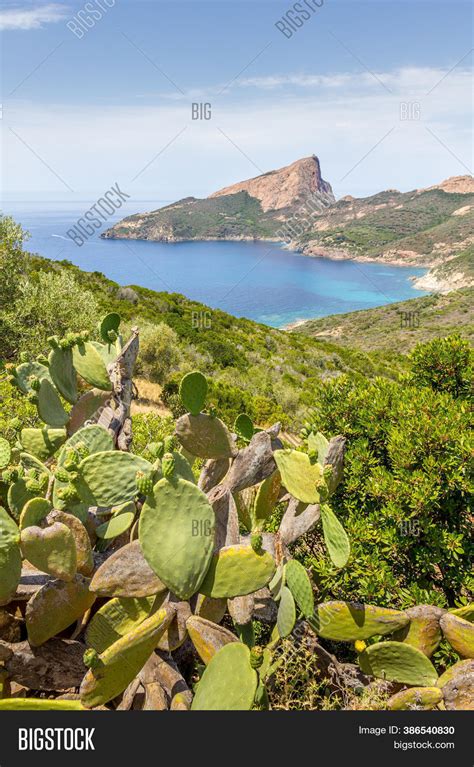 Calanques De Piana Sea Image & Photo (Free Trial) | Bigstock