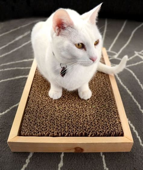 12 DIY Cardboard Cat Scratcher Ideas to Make at Home ⋆ Bright Stuffs