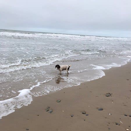 Tywyn Beach - 2020 All You Need to Know Before You Go (with Photos ...