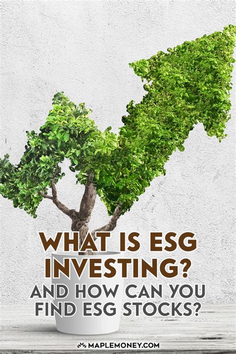 What Is ESG Investing and How Can You Find ESG Stocks?