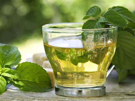 Spearmint Tea: 10 Benefits of Spearmint Tea