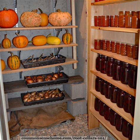 DIY Root Cellars 101 - How To Build and Use a Root Cellar