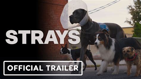 Strays - Official Red Band Trailer (2023) Will Ferrell, Jamie Fox, Randall Park - YouTube