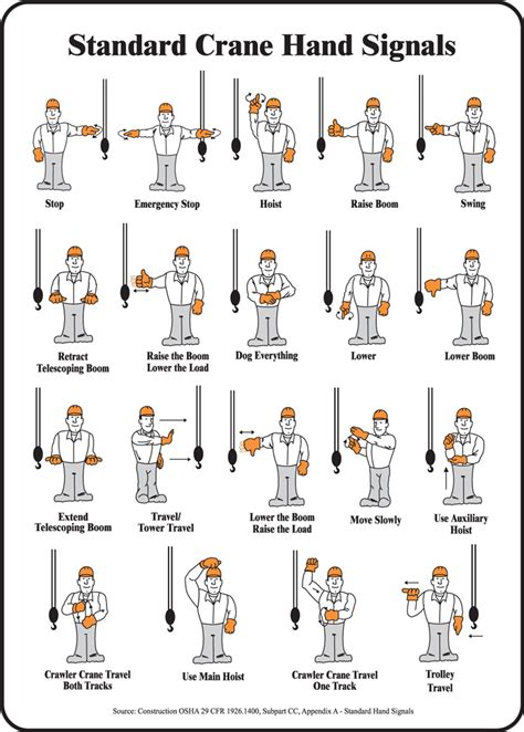 Dog Training Hand Signals Chart | lupon.gov.ph