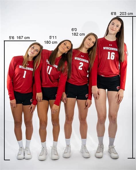 Wisconsin Volleyball Team Height Comparison by Cloverfield12 on DeviantArt