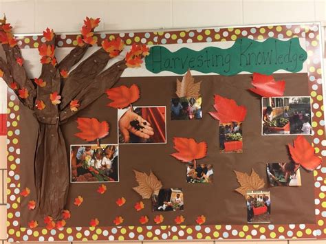 Fall harvest Board/October | Fall harvest, Teacher bulletin boards, Harvest