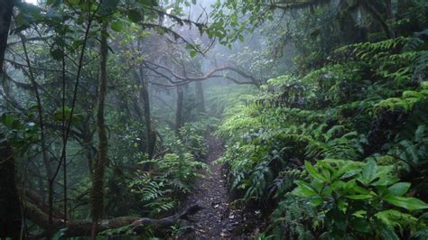 Anaga Mountains Tenerife - walking through clouds | Mountains For Everybody