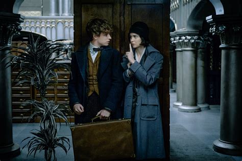 'Fantastic Beasts and Where to Find Them': Here's What We Know About ...