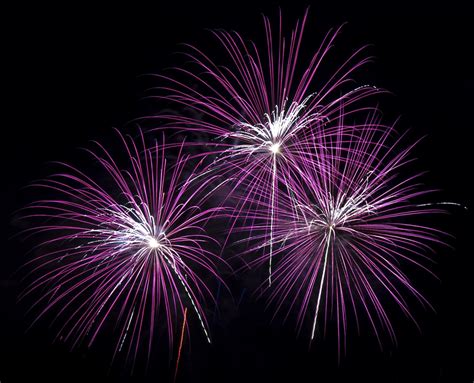 Fireworks - purple by bpme on DeviantArt