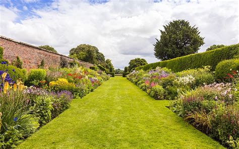 Perennial Borders