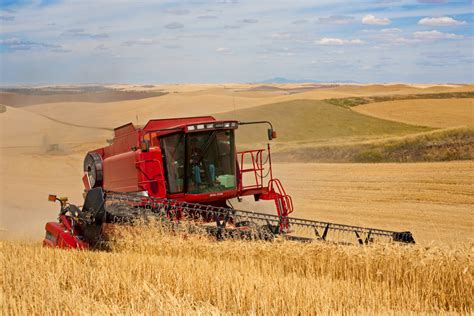 건축인 쉼터 | ﻿The Palouse (wheat fields) in south eastern Washington - Daum 카페