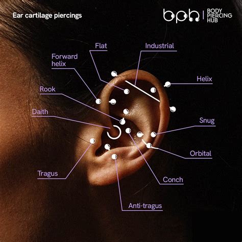 Cartilage Piercings | Types of Cartilage Piercings | Body Piercing Hub