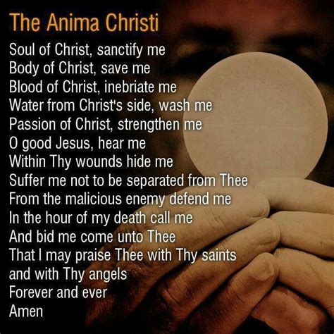 Pinterest | Anima christi, Catholic, Catholic prayers