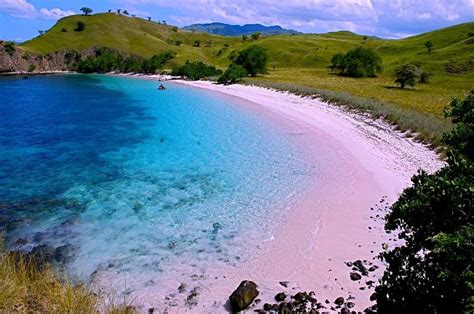 Pulau Komodo Nusa Tenggara Timur - Wisata Indonesia Tiada Duanya