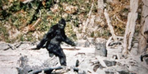 AI has revealed what infamous 'Bigfoot' footage truly is - TrendRadars