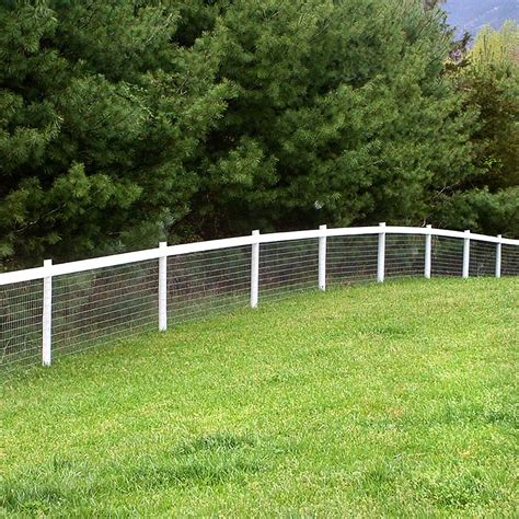 Best Horse Fence For The Money • Fence Ideas Site