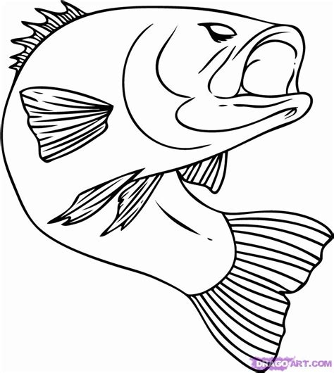 Bass Fish Coloring Pages - Coloring Home