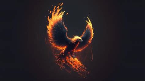 Phoenix wallpapers - backiee