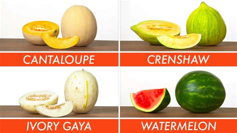 Watch Picking The Right Melon For Every Recipe | The Big Guide | Epicurious