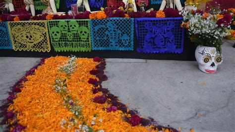 Día de Muertos: cuál es el origen y significado de la flor de ...