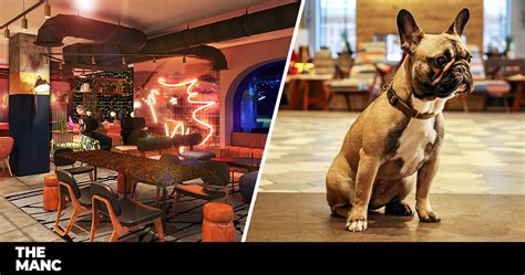 Manchester's newest pet-friendly hotel is looking for people to 'test drive' it for free | The Manc