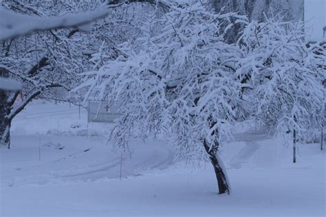 See social media reactions to first major snowfall of season in Northeast Ohio - cleveland.com