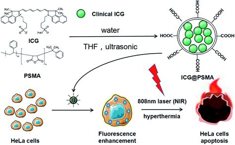 Polymer encapsulated clinical ICG nanoparticles for enhanced ...