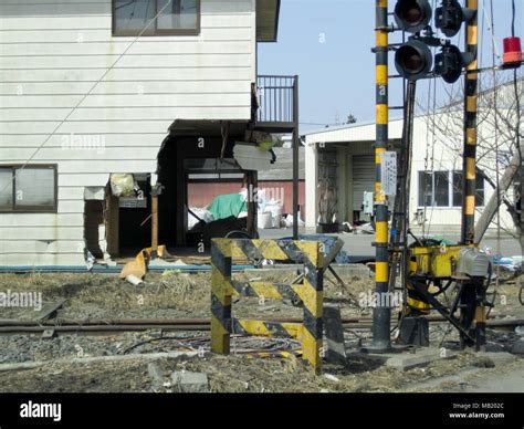 Images of the aftermath of the Great Tohoku Earthquake and Tsunami ...