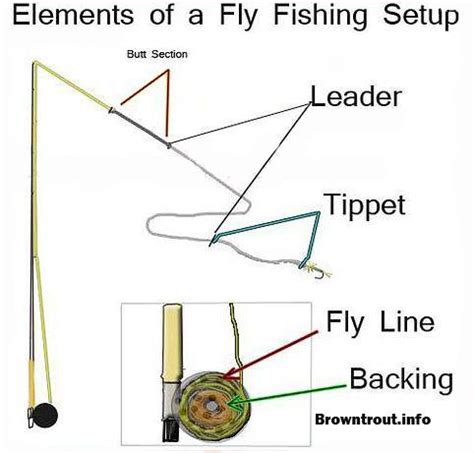 Fly Fishing Line Setup – Troutster.com – Fly Fishing Tips and Tactics