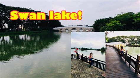 SWAN LAKE PARK TAIWAN 2023 | cheryl's TV - YouTube