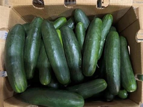 Cucumber recall: 27 sick in Pennsylvania after Salmonella outbreak