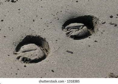 Horse Tracks Sand Bali Beach Stock Photo 1318385 | Shutterstock