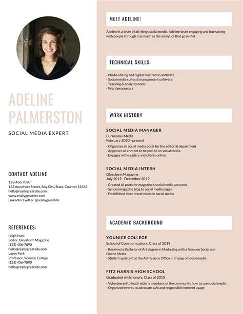 Infographic Resume Template Word