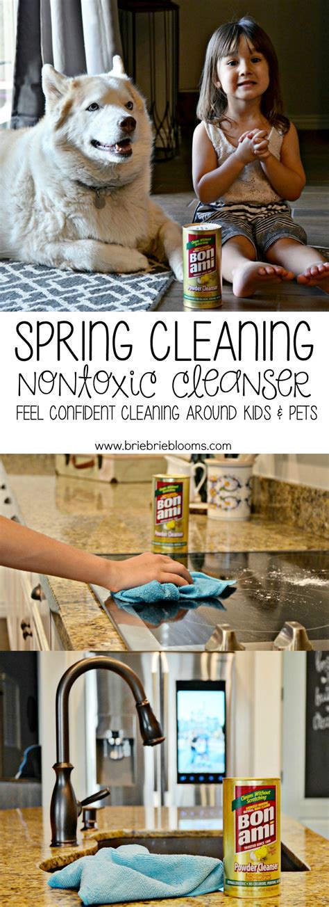 Nontoxic Cleanser | Feel Confident Cleaning Around Kids and Pets - Brie ...