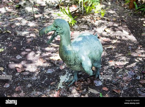 Ile aux Aigrettes Nature Reserve, Mauritius Stock Photo - Alamy