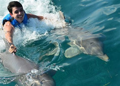 Mexico Cancun Swimming with Dolphins (800) 667-5524