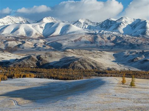 Wallpaper Altay, mountains, trees, snow, winter 1920x1200 HD Picture, Image