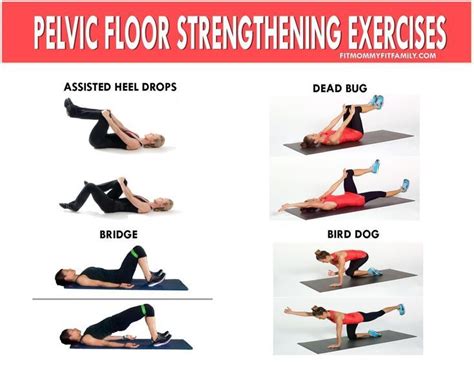 floor plan: #floor #pelvic #pelvicworkouts #workouts