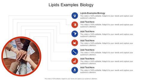 Lipids Examples Biology In Powerpoint And Google Slides Cpb