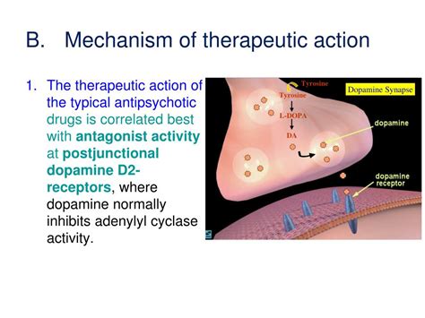 PPT - Antipsychotic (Neuroleptic) Drugs PowerPoint Presentation - ID:654882