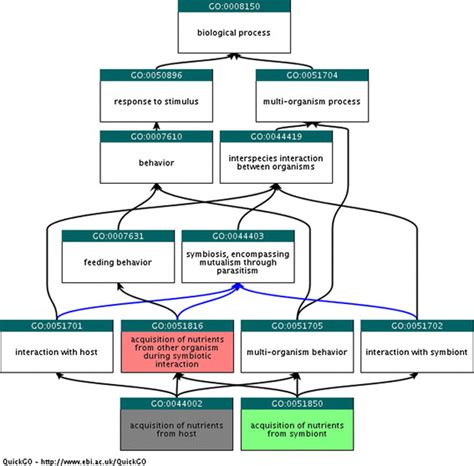 The triad structure in the multi-organism process node. The design of ...