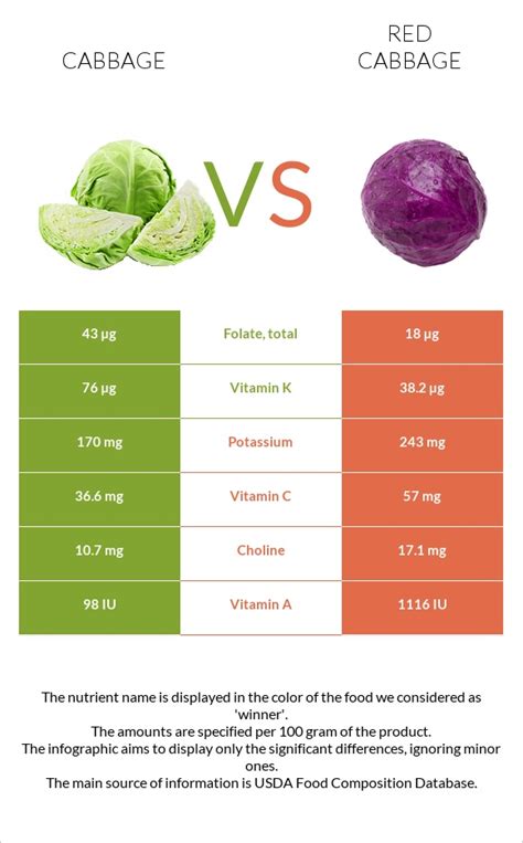 Cabbage vs. Red cabbage — In-Depth Nutrition Comparison