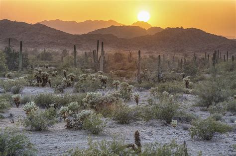 13 Best Things To Do In Gila Bend, Arizona | Trip101