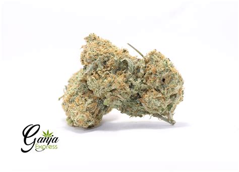 Sweet Sugar Cookies Weed Strain - Buy Weed Online at Ganja Express