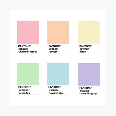 Rainbow Hex Aesthetic Pastel Color Palette - Marian-What